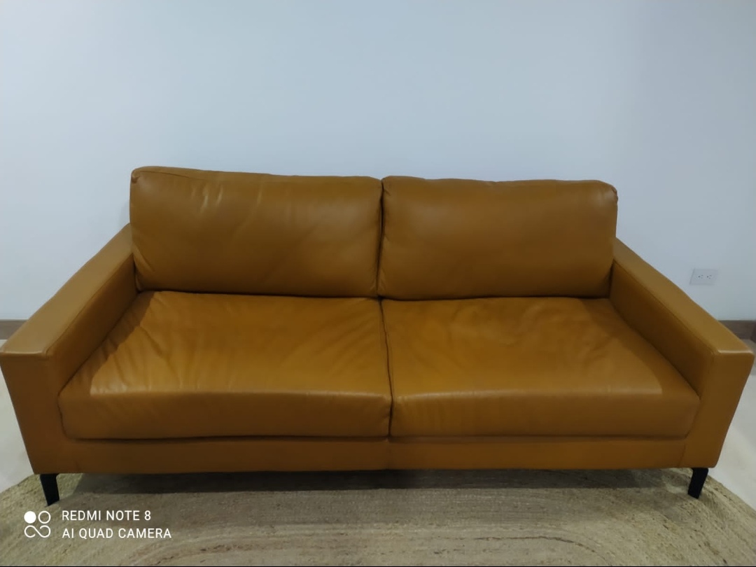 sofa_c