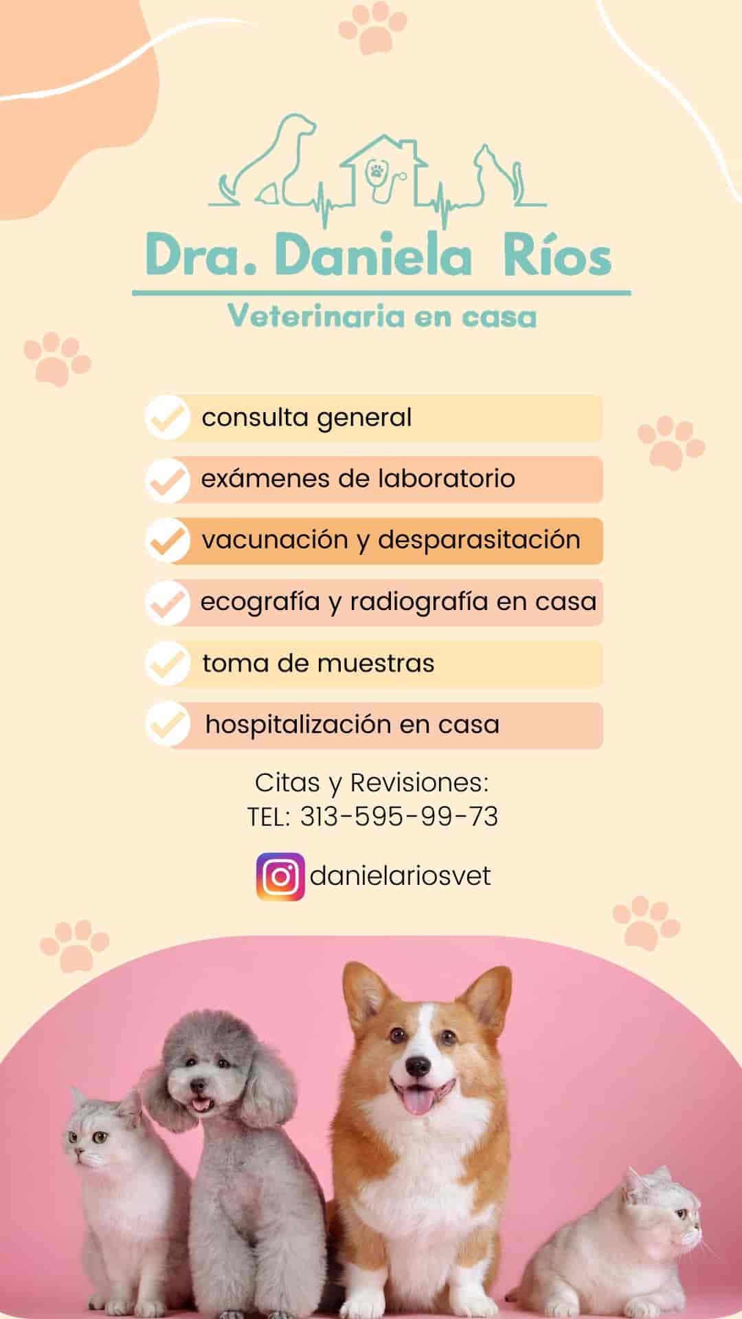 Médico Veterinario en Casa